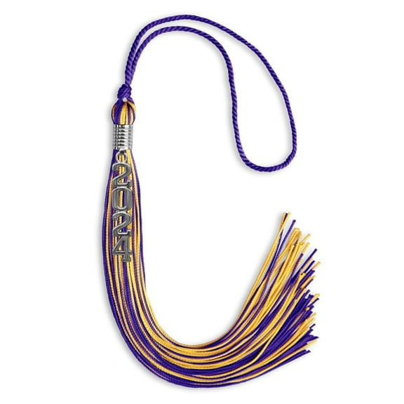 Endea Graduation Purple/Gold Mixed Color Graduation Tassel with Stacked Silver Date Drop
