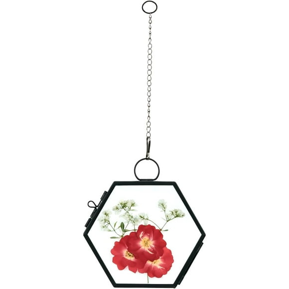 shiyou-Mini Glass Floating Frame for Dried Flowers Plants, Glass Pressed Flower Frame Handmade, Wall Hanging Picture Frame for Dried Flowers Home Wall, Hexagon, Black (FRAME ONLY)