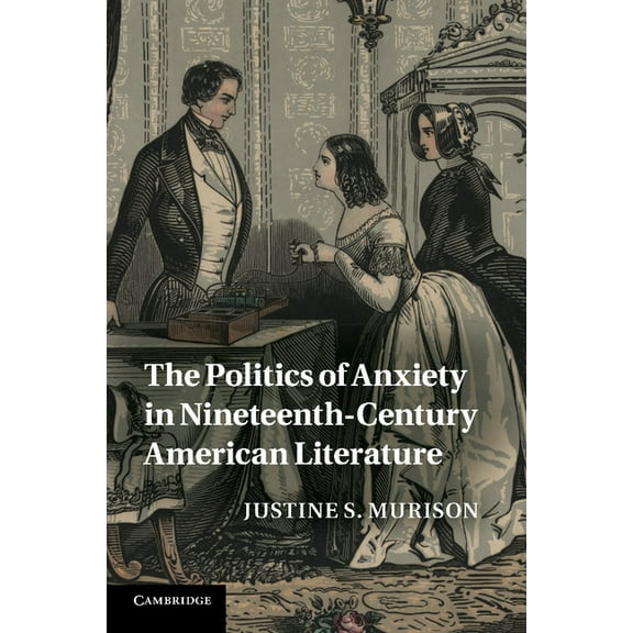 Cambridge Studies in American Literature The Politics of Anxiety in Nineteenth-Century American Literature, Book 162, (Paperback)