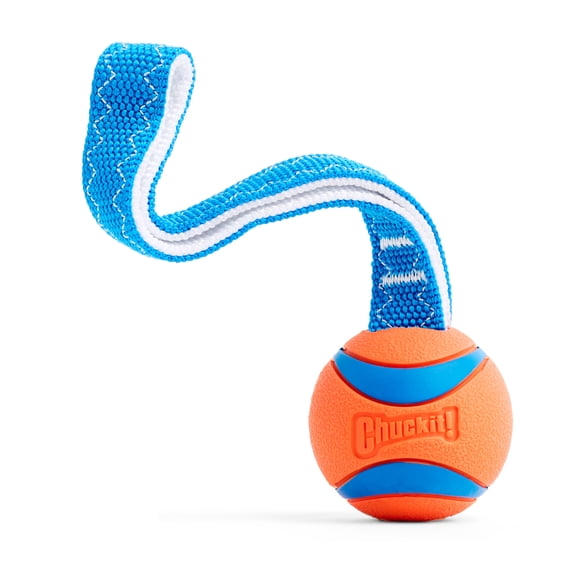 Chuckit! Ultra Fetch Rugged Rubber Dog Ball Tug Rope Toy, for Dogs 20-60 lb, Medium, Orange