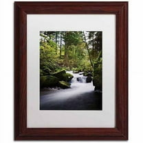 Trademark Fine Art "Still Fall" Canvas Art by Philippe Sainte-Laudy, White Matte, Wood Frame