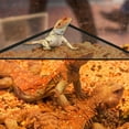 thumbnail image 4 of Reptile Lizard Bearded Dragon Hammock Sleeping Bed, 4 of 7