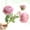 Pink, variant on Luxcidy Peony Artificial Flower, Real Touch Silk Bouquet, Floral with Long Stem & Green Leaf Faux Flower for Home Wedding Party Arrangements Indoor Table Centerpiece Vase Decor (White Pink)