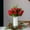 Green-A, variant on Kokovifyves Christmas Decoration Wreath Candle Candlestick Wreath Decoration Ring Table Setting Ornaments Wine Bottle Decoration