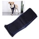 thumbnail image 5 of Codera para Perro, Protector de Codo Canino A Prueba de Lamer, Transpirable, Altamle Elás, 5 of 7