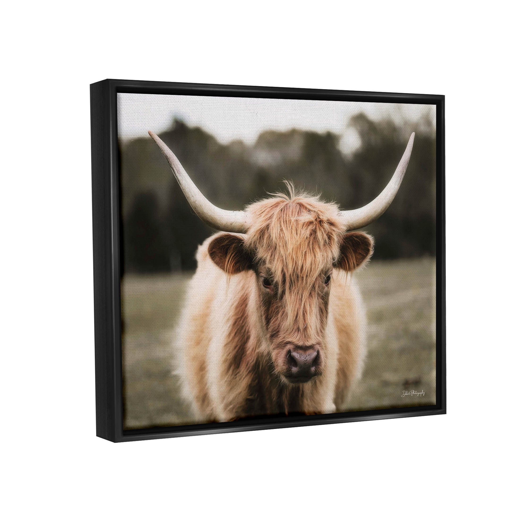 Stupell Industries Peaceful Cattle Rural Open Farmland Photograph Jet Black Floating Framed Canvas Print Wall Art, Design by Dakota Diener