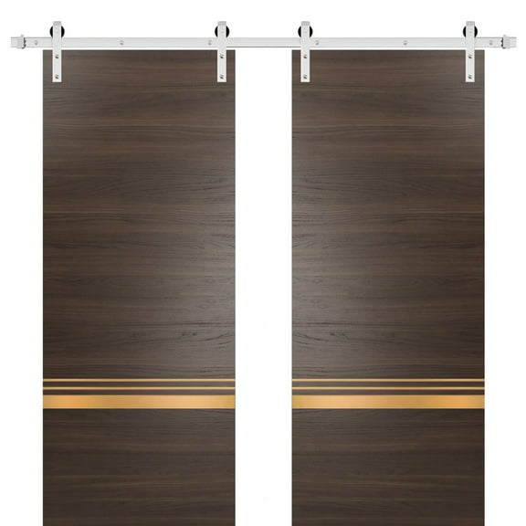 Sturdy Double Barn Door 36 x 80 inches with | Planum 2010 Chocolate Ash with Frosted Glass | Stainless Steel 13FT Rail Hangers Heavy Set | Solid Panel Interior Doors