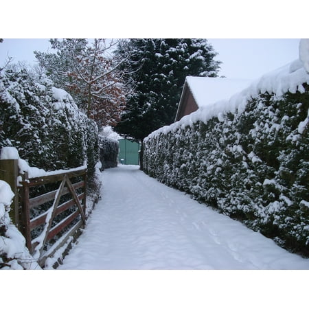 Canvas Print Weather Snow Cold Drive Driveway Gate Snowy Stretched Canvas 10 x
