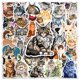 thumbnail image 1 of Paquete de pegatinas Maine Coon Cat, 50 unidades, calcomanías de vinilo impermeables, 1 of 2