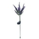 thumbnail image 2 of Solar Rape Flower Light LED Rape Flower Outdoor Garden Courtyard Light, 2 of 2