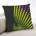 thumbnail image 1 of Ahgly Company Color Focus Black Indoor Throw Pillow, 18 inch by 18 inch, 1 of 6