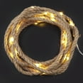 thumbnail image 2 of 10ft. LED Rope String Lights by Ashland, 2 of 2