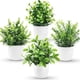 thumbnail image 5 of Planta de simulación Planta falsa Planta verde Decoración de interior y exterior Eucalipto en maceta de plástico Planta pequeña en maceta, 5 of 6