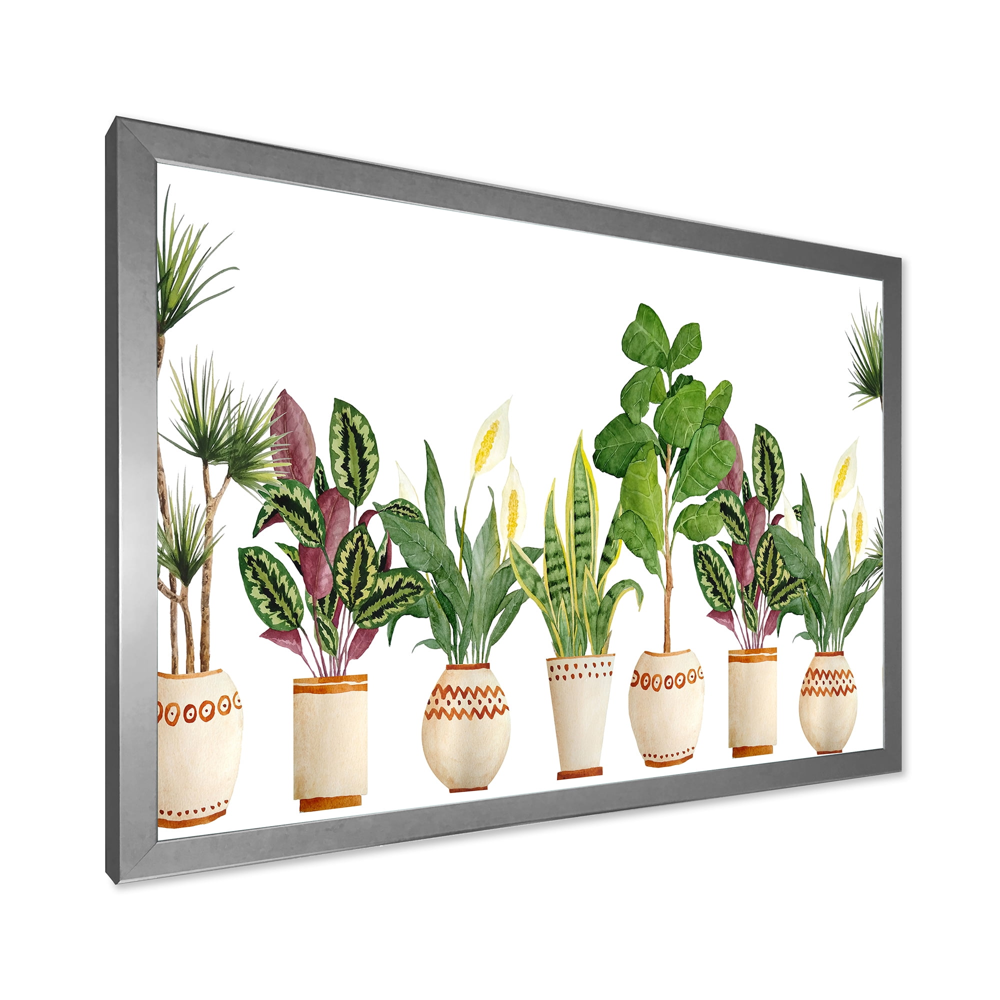 Designart 'Trio of Houseplants Sanseviera Snake Plants On White' Farmhouse Framed Art Print