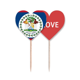thumbnail image 1 of Belice bandera nacional país símbolo Mark patron de América del Norte Palillos de dientes bandera etiqueta de amor selección de pastelitos, 1 of 4
