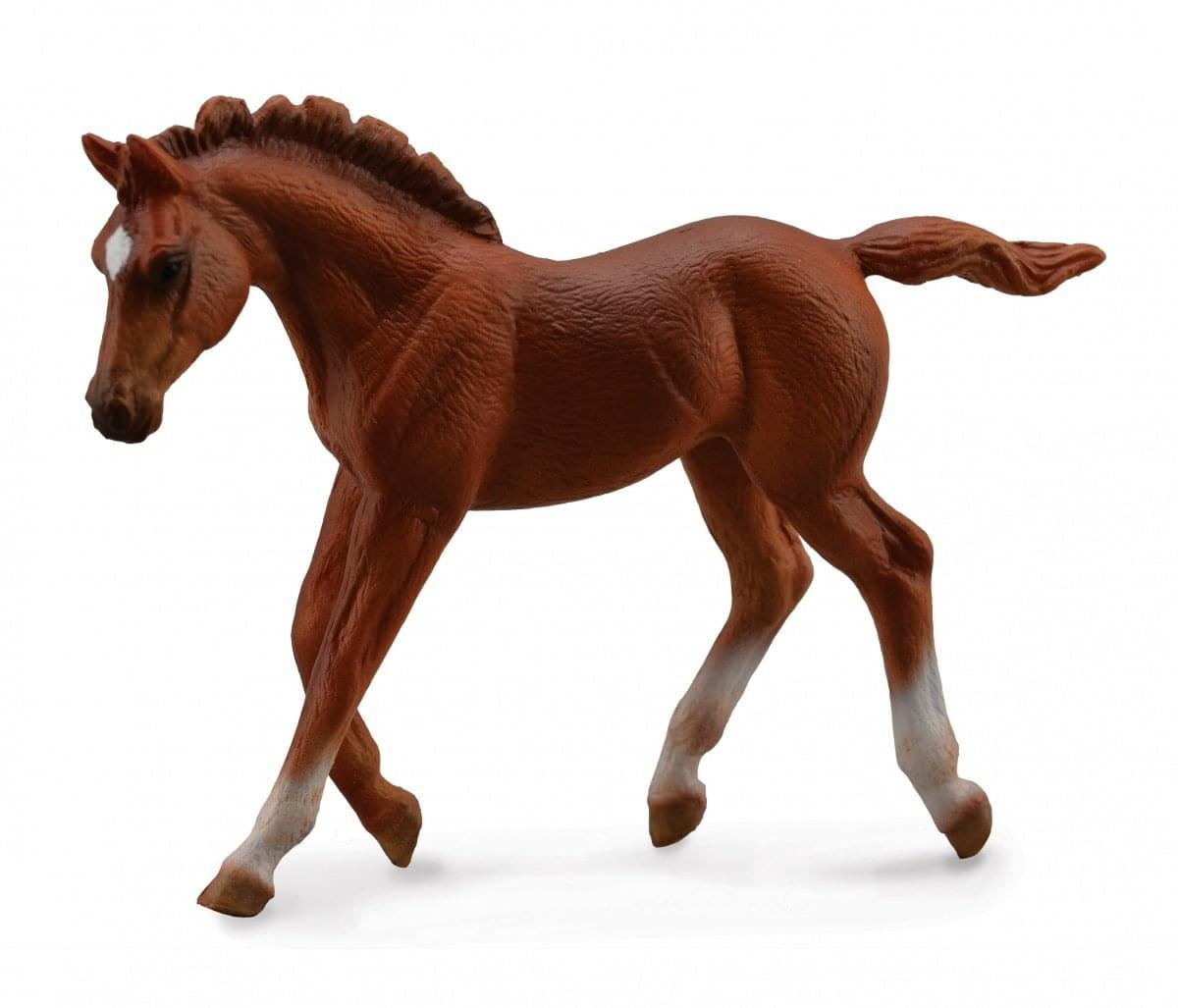Model Toy Horse NEW Breyer by CollectA 88602 PRZEWALSKI STALLION 