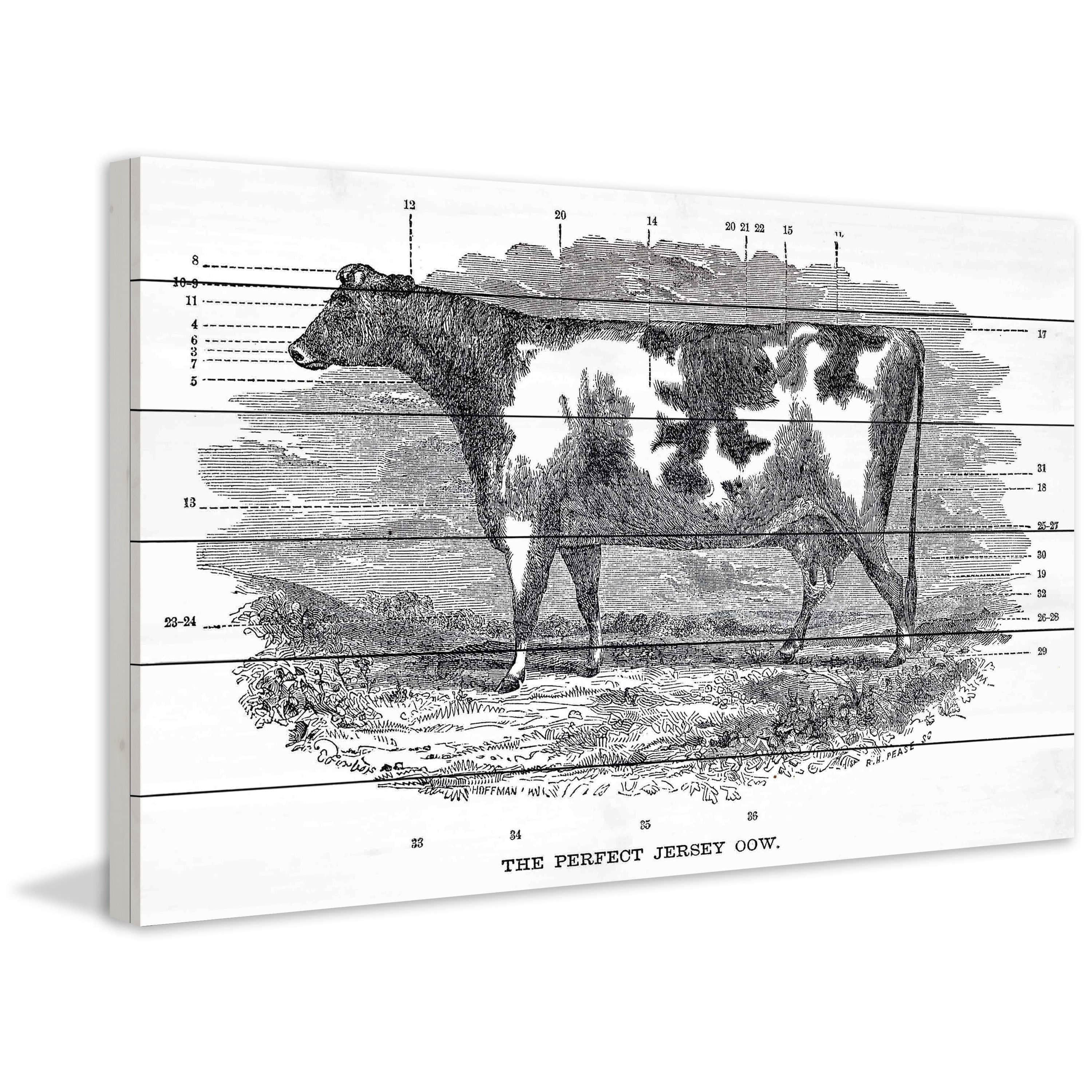 Marmont Hill "Perfect Cow" Painting Print on White Wood