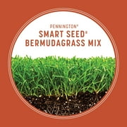 Pennington Smart Seed Bermudagrass Grass, Bermuda Grass Seeds for Lawn, Full Sun, 8.75 lb