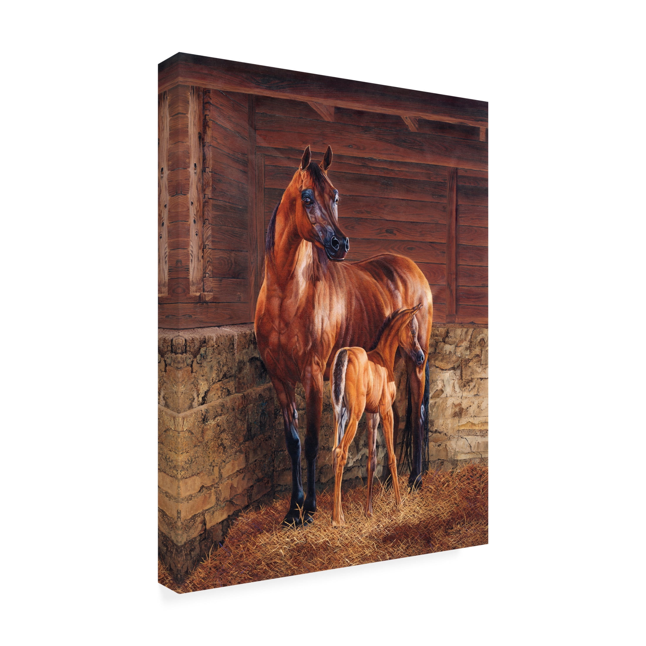 Canvas Wall Art - Delene Lambert 'And God Created the Horse' Wall Art for Living Room, Bedroom, or Office Décor by Trademark Fine Art - 35 x 47 Inches