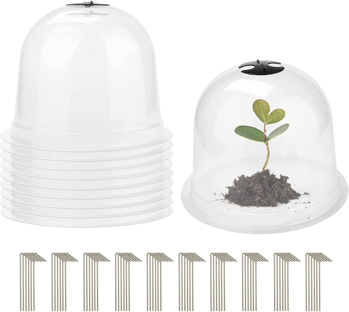 Dream Lifestyle 3 Packs Garden Cloche Dome Plant Bell Protector Covers ...