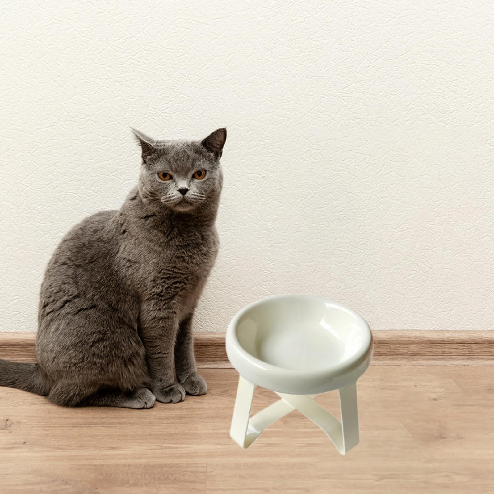 Bothyi Cat Bowl with Stand Ceramic Dog Bowl for Small and Medium Breeds White