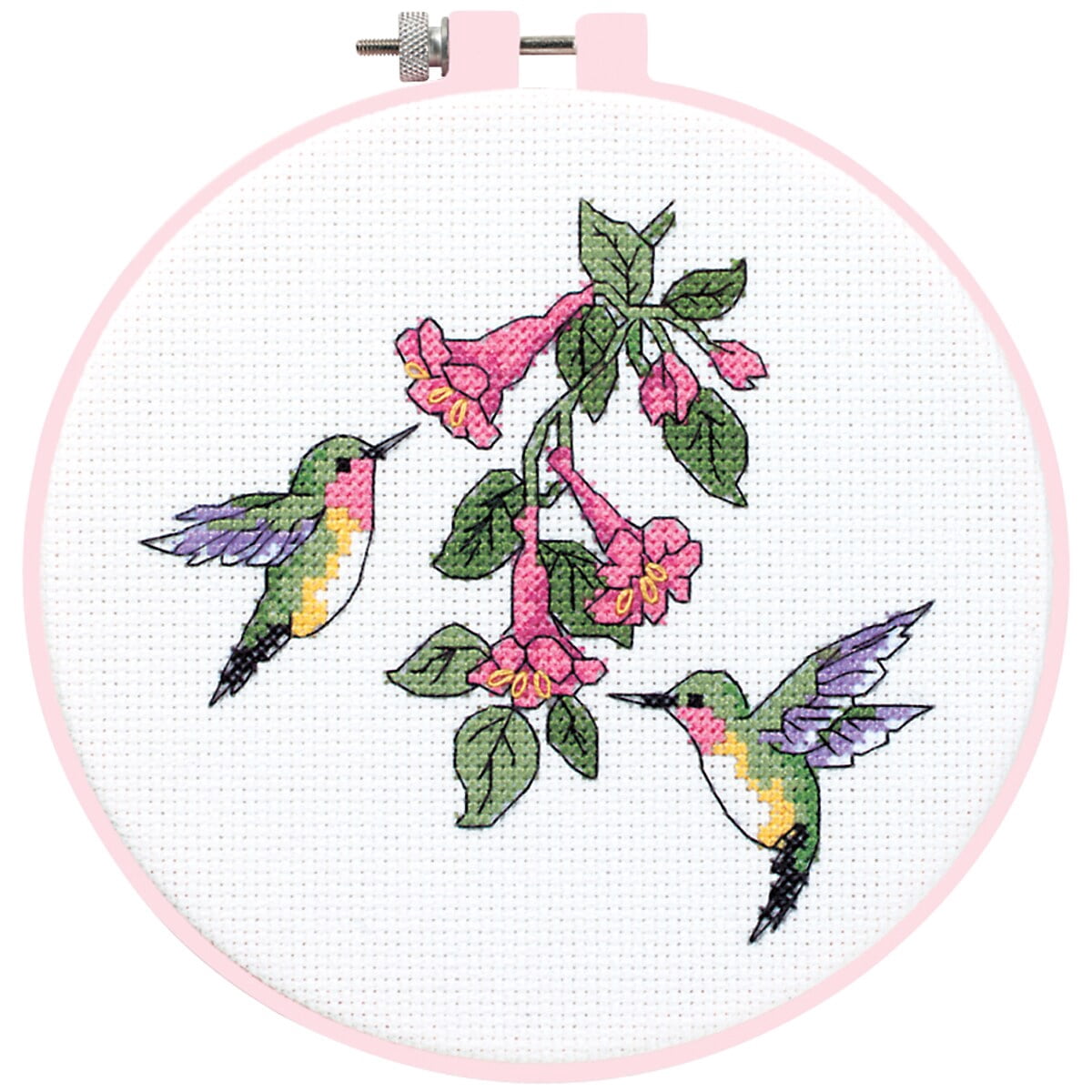 (5 pack) Dimensions Learn-A-Craft Counted Cross Stitch Kit 6" Round-Hummingbird Duo (14 Count)