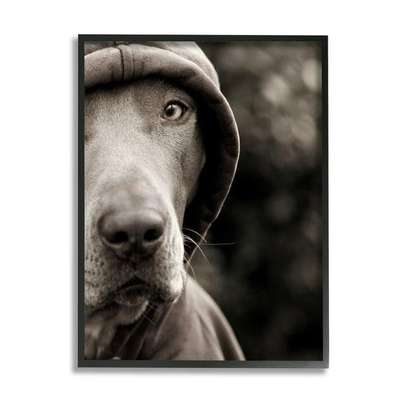 Stupell Industries Dog Wearing Hooded Sweater Close-Up Monochrome Photography Photograph Black Framed Art Print Wall Art, Design by Michael Brian