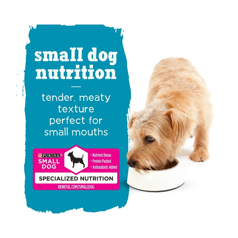 What Is The Best Soft Dog Food For Small Dogs