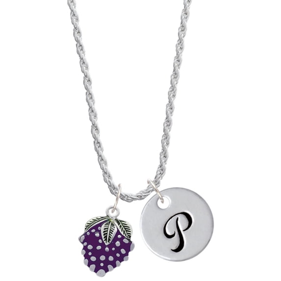 Delight Jewelry Silvertone Purple Grapes Silvertone Script Initial Disc - P - Charm Necklace, 20"+3"