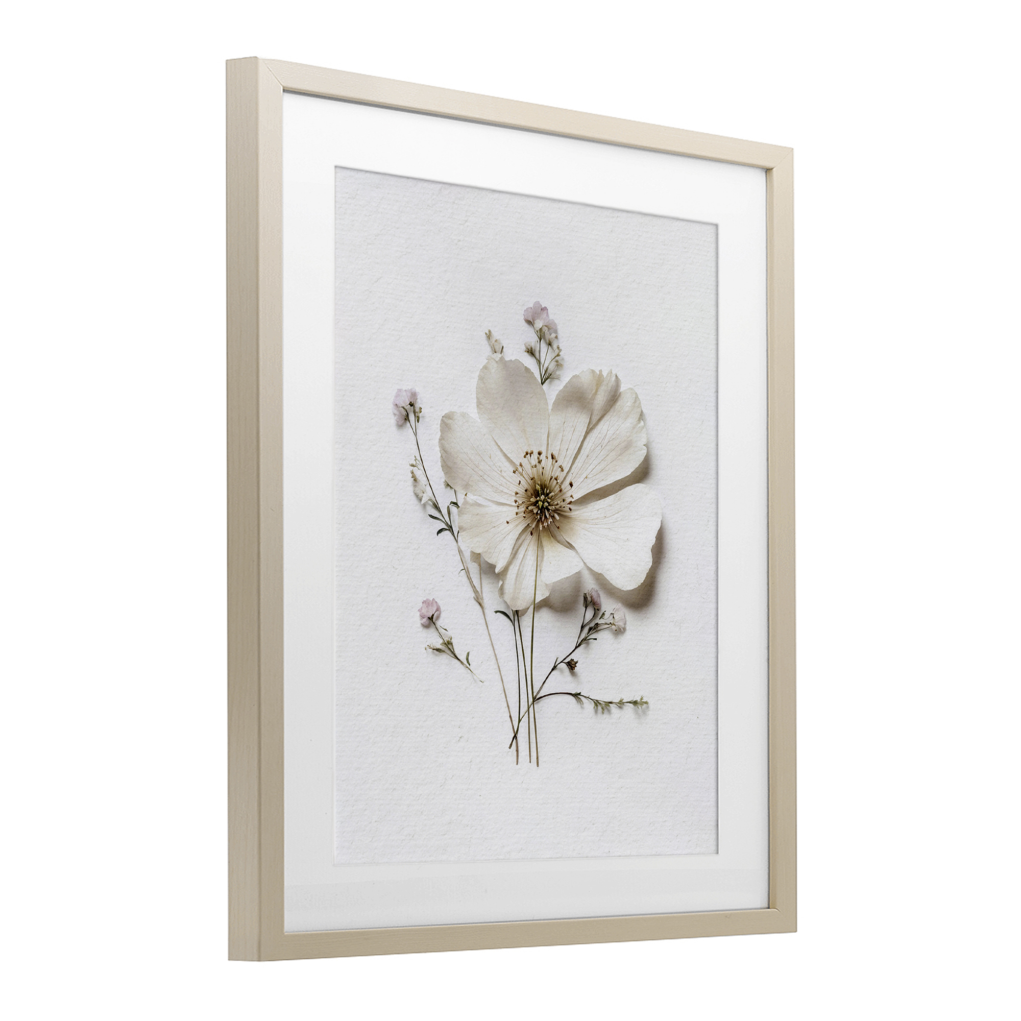 Simple Pressed Cottage Flower Birch Framed Print Under Glass, design by Lettered and Lined