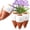 White, variant on Self Watering Spikes Mushroom Shaped Plant Watering Globes Irrigation Terracotta Watering Device Garden Waterer for Indoor Outdoor Plant - 4 Packs