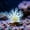 Beige#3169, variant on Rwvbm Luminous Artificial Coral for Aquarium, Glow in the Dark Fish Tank Decor, Resin Reef Rock Ornament with Hideout for Freshwater Saltwater
