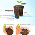 thumbnail image 2 of 2X Plant Grow Sponges for Garden Hydroponic Indoor Garden Smart Sponge with Nutrients, Replacement Grow Pod, 2 of 6