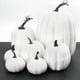 thumbnail image 5 of Decoración de Calabaza Artificial de Halloween Calabaza de Espuma Núcleo de Escritorio Acción de Gracias Decoración de Halloween 21 Piezas, 5 of 5