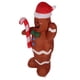 thumbnail image 4 of Hombre de jengibre inflable de Navidad de 4,92 pies, lindo inflado rápido, hombre de jengibre para decoración navideña de jardín, enchufe europeo de 220V, 4 of 10