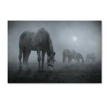 Trademark Fine Art 'Moonlit' Canvas Art by Samuel Malach