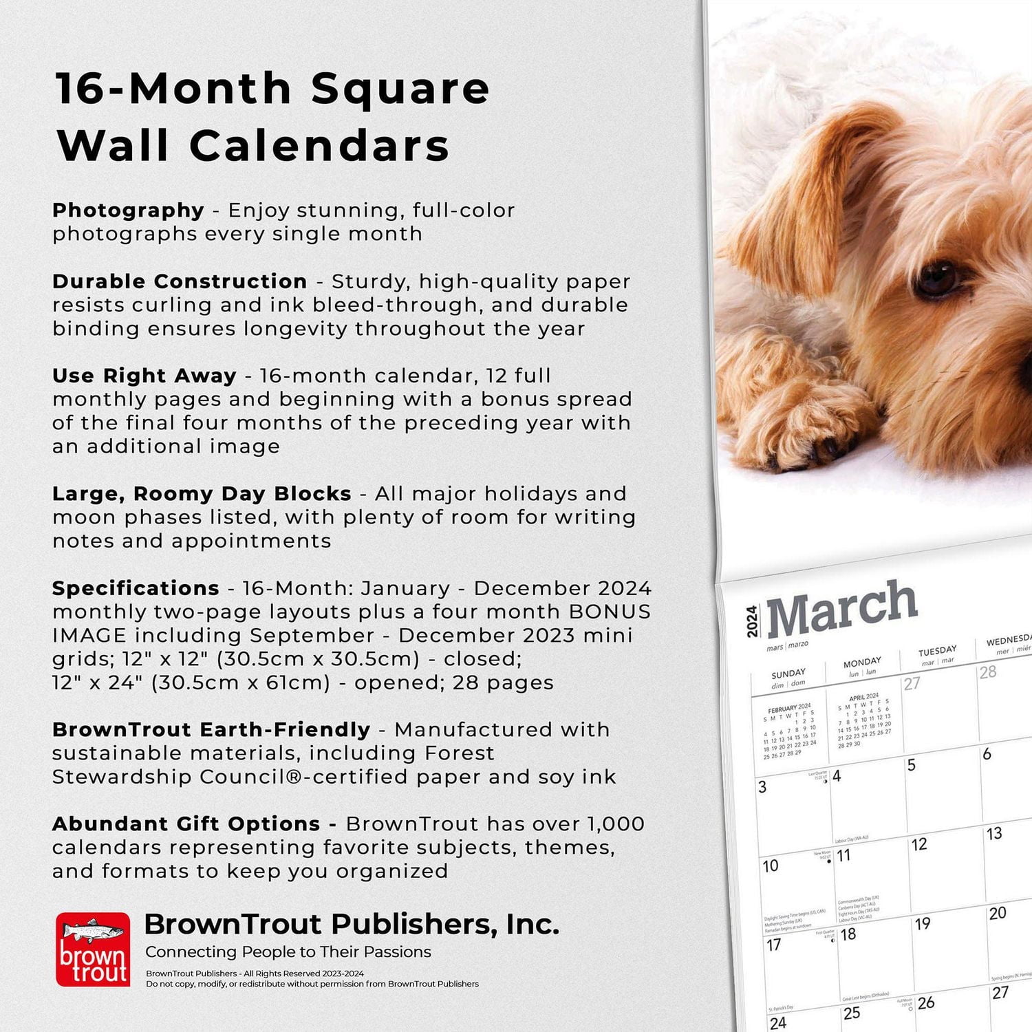 BrownTrout Yorkshire Terriers 2024 12x24 Inch Square Wall Calendar, 9781975465834