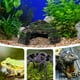 thumbnail image 5 of Plataforma de descanso para tortugas pequeñas, rampa de escalada, plataforma de escalada, refugio de resina para tortugas, para acuarios, tortugas, reptiles, decoraciones de tanques, 5 of 7
