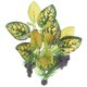 thumbnail image 5 of EXHUMKY Planta Artificial Para Acuario Multicolor Resistente Fácil Mantenimiento, 5 of 7