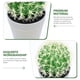 thumbnail image 4 of Cactus de escritorio artificial, bonsái, cactus falsos, plantas en maceta, decoración, 4 of 6