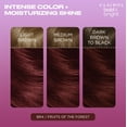 thumbnail image 5 of Clairol Bold & Bright Permanent Hair Color Creme, BR4 Fruits of the Forest, Hair Dye, 1 Application, 5 of 13
