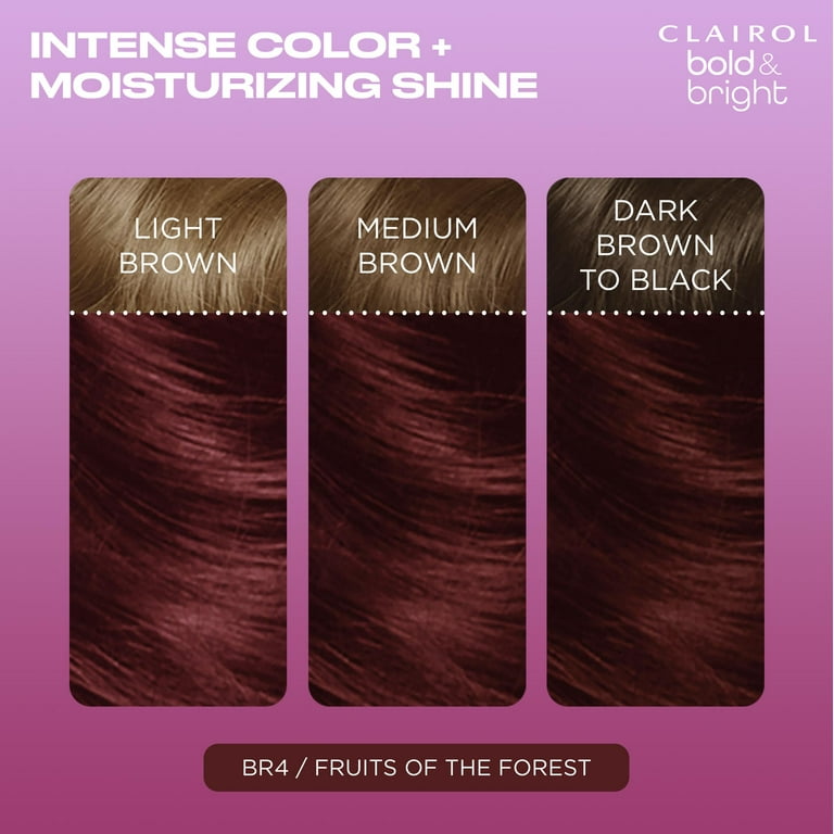 カラーリング剤セット P-21 9WB 7WB 8CBB 34本 Clairol Bold & Bright Permanent Hair Color Creme, BR4 Fruits of