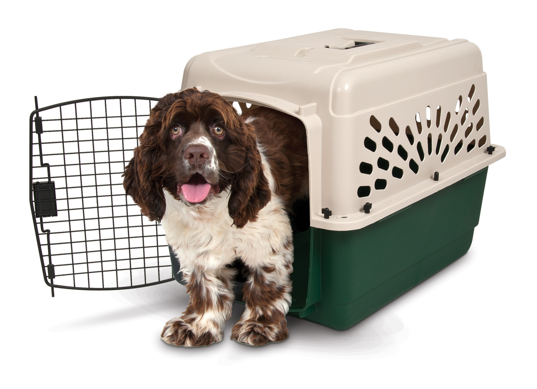 Petmate Ruffmaxx 28" Portable Dog Kennel Plastoc Pet Carrier for Dogs 20 to 30 lb, Tan/Green - image 5 of 9
