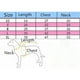thumbnail image 5 of Suéter de Halloween para perro, disfraz divertido de dinosaurio, abrigo deportivo, chaqueta cálida con capucha, atuendo para exhibición SG, 5 of 5