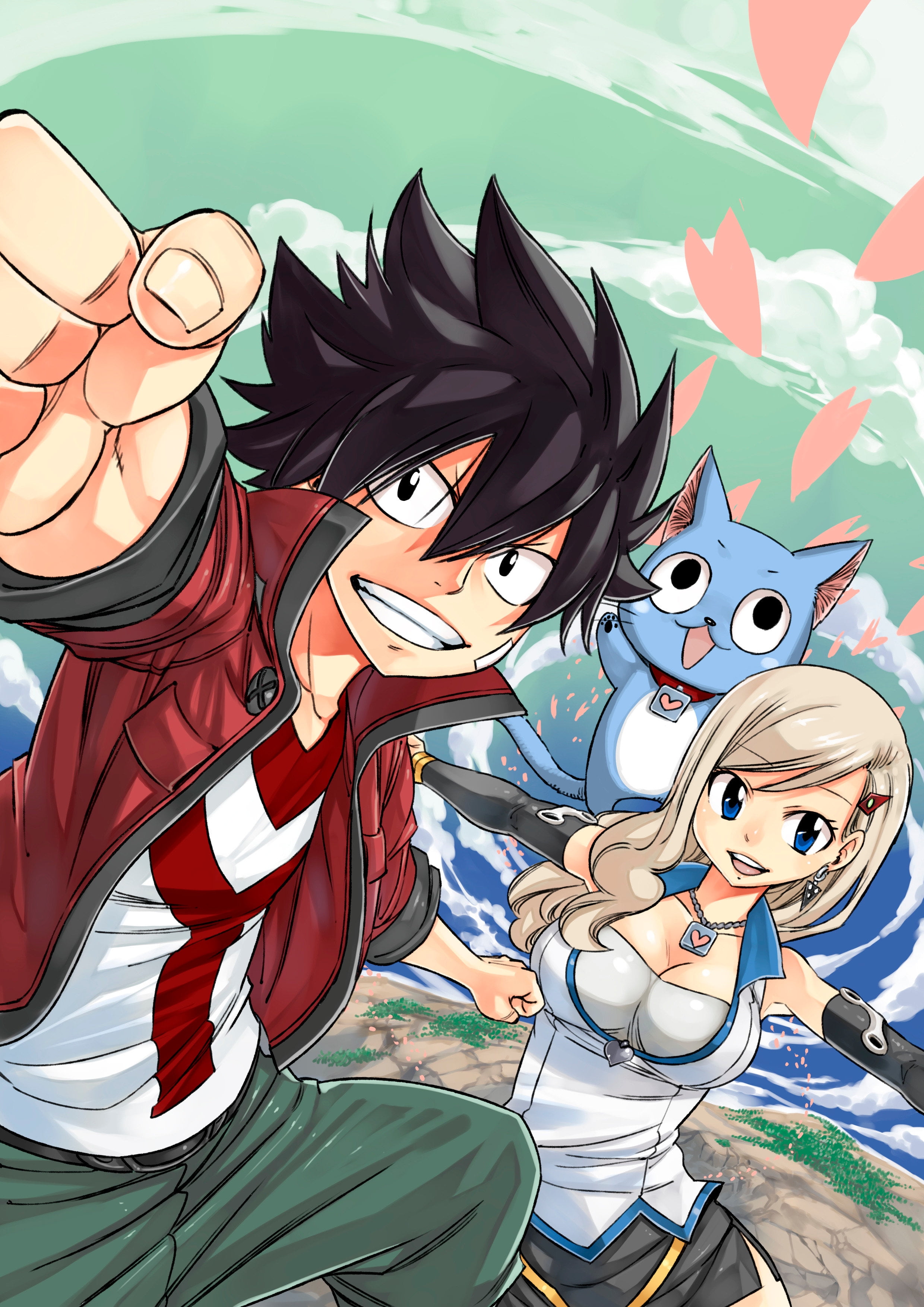 Fairy Tail 1 (Paperback) - Walmart.com