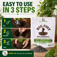 thumbnail image 6 of Big Foot Granular Mycorrhizae - Double Your Plant Size – Easy to Use – Made in USA – Treats 30 Plants (7,500 mycorrhizal Spores) 4 Ounces, 6 of 11