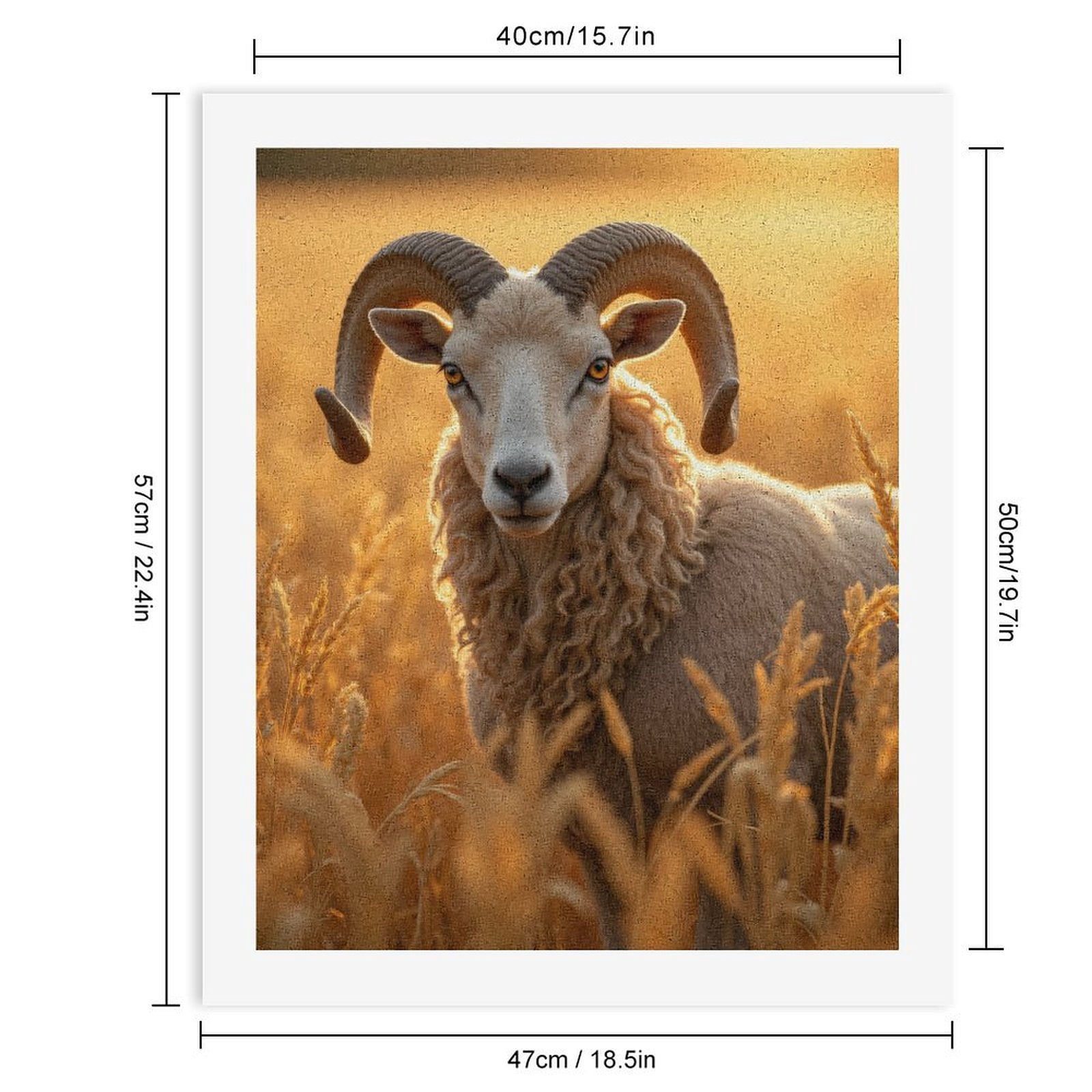 Paint by Numbers Kit for Adults, Golden Field Majestic Ram Paint by Numbers, Easy Paint by Numbers Kit for Adults Beginner, DIY Adult Paint by Number Kits on Canvas, Home Decor