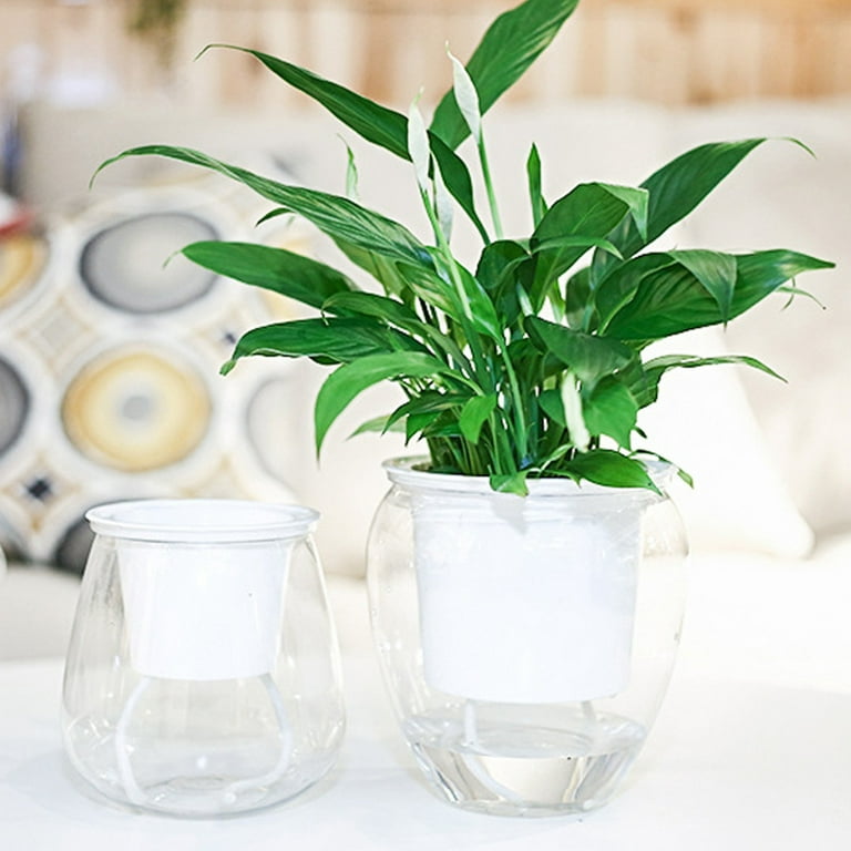 Clear Plant Pots : Glass Flower Pot