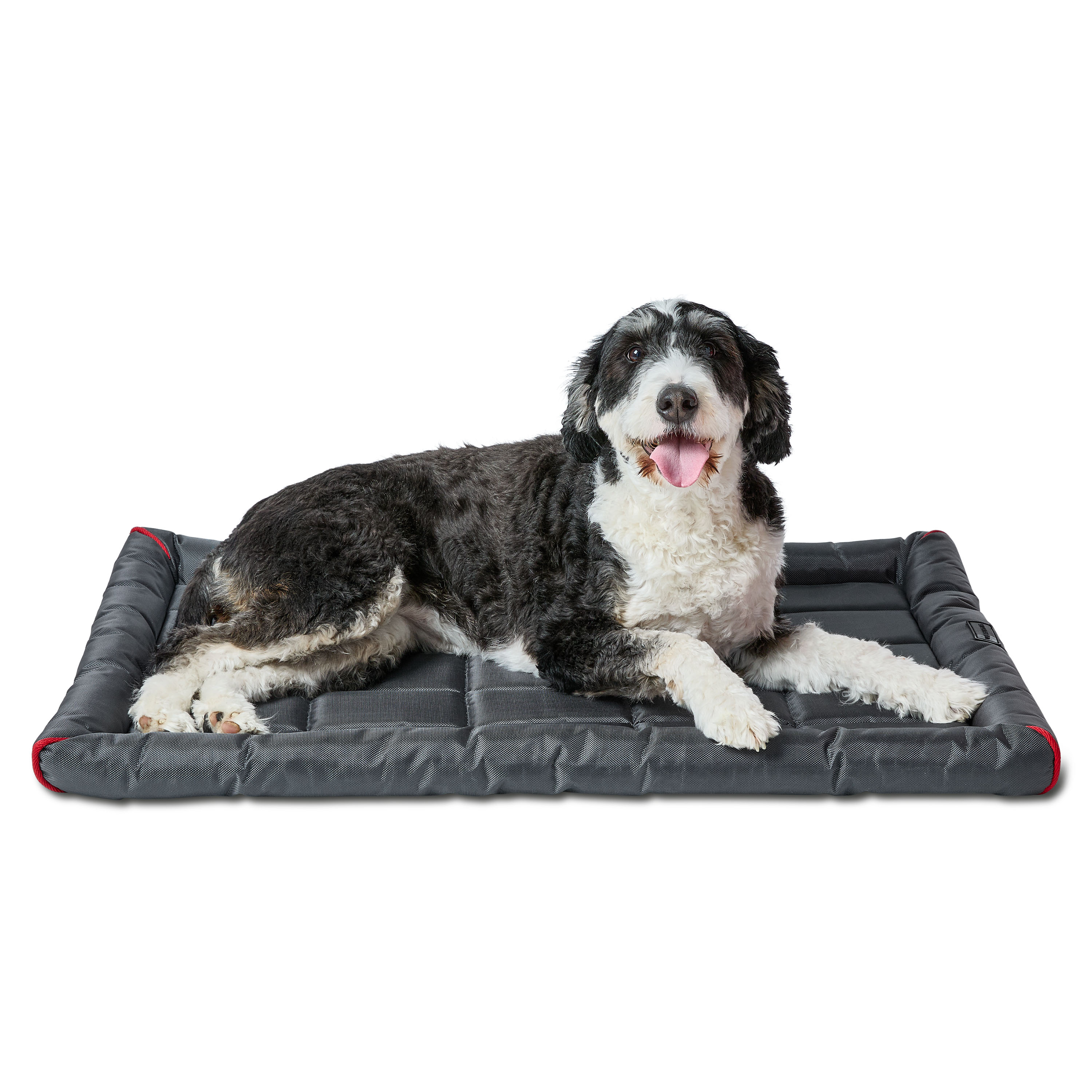 Vibrant Life Durable and Water Resistant Crate Pad, Gray, Large, 23" x 35"