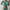 Green, variant on Ichuanyi Swimsuits for Women Women's Fashion Bikini Set Swimsuit Two Piece Solid Color Sling Swimwear Beachwear